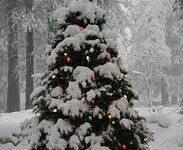 Photo of Минусни утрински температури, најстудено на Попова Шапка