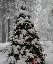 Photo of Минусни утрински температури, најстудено на Попова Шапка