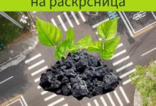 Photo of (ВИДЕО) Македонската струја гори странски јаглен и ја распламтува својата цена