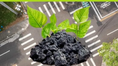 Photo of (ВИДЕО) Македонската струја гори странски јаглен и ја распламтува својата цена