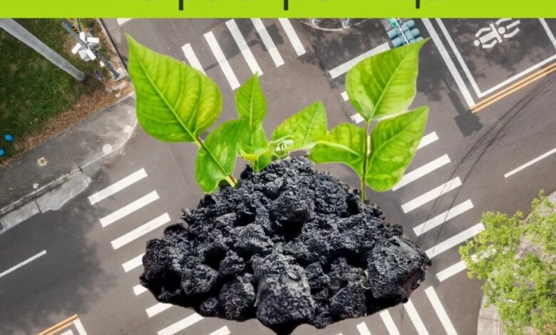 Photo of (ВИДЕО) Македонската струја гори странски јаглен и ја распламтува својата цена