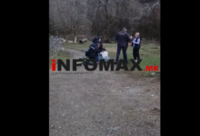 Photo of (ВИДЕО) Уапсен сопственикот на кравите во кривопаланечко: „Целта им беше татко ми кој ништо не направи“