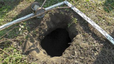 Photo of Откриен тунел за криумчарење мигранти од Белорусија во Полска