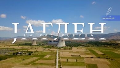 Photo of ВИДЕО:Јаглен на раскрсница