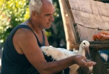 Photo of „Приказната за Силјан“ на Котевска не успеа да влезе во топ 15 филмови во трката за „Оскар“