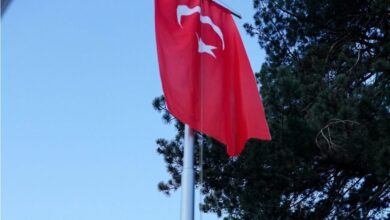 Photo of (Видео) Турското знаме подигнато пред Општина Кичево