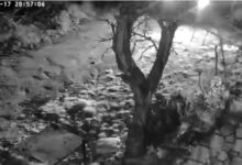 Photo of Украдена голема количина тутун во Крушево, сопственикот моли за помош