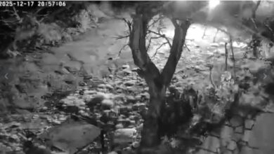 Photo of Украдена голема количина тутун во Крушево, сопственикот моли за помош