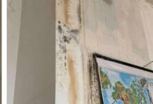 Photo of Прокиснати кровови и мувла, ученици во Охрид учат во распадната зграда