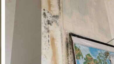 Photo of Прокиснати кровови и мувла, ученици во Охрид учат во распадната зграда