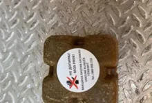 Photo of АХВ до крајот на декември ќе ја спроведе кампањата за вакцинација на лисиците и дивите карнивози против беснило