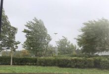 Photo of Метео аларм: Силен северен ветер над 60 км/ч денеска во Повардарието и на истокот