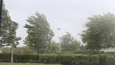 Photo of Метео аларм: Силен северен ветер над 60 км/ч денеска во Повардарието и на истокот