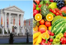 Photo of Два тона портокали, тон и пол компири и 600 килограми банани: СОЗР набавува овошје и зеленчук за 30.000 евра