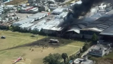 Photo of Седуммина загинати при пад на мал авион во Мексико