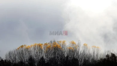 Photo of Божикната вечер ќе биде дождлива, а на планините ќе паѓа снег