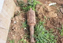 Photo of ДЗС: Безбедно отстранета ретка неексплодирана минофрлачка граната од 70 mm од Првата светска војна