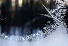 Photo of Студен бран со снег и силен јужен ветер, најобилни врнежи во западните делови