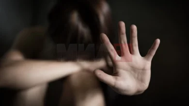 Photo of Серија пријави за семејно насилство во Скопје, Делчево и Штип за едно деноноќие
