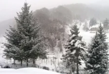 Photo of Најмногу врнежи во Маврови Анови, на Попова Шапка 43 сантиметри снег