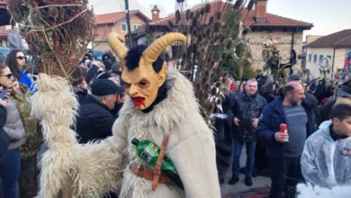 Photo of Вечерва почнува „Вевчански карневал 2026“ со концерти на популарна музика