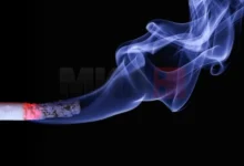 Photo of Научно истражување: Апликациите за откажување од пушењето покажуваат висока ефикасност