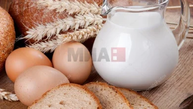 Photo of Кенеди: Ова е новата пирамида на храна, не е се превртено, туку досега беше така