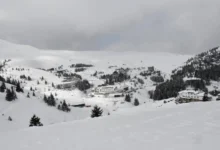 Photo of Ескимо Спорт ДООЕЛ Тетово: „Дивите ратраци“ не постојат