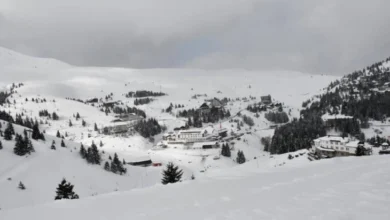 Photo of Ескимо Спорт ДООЕЛ Тетово: „Дивите ратраци“ не постојат