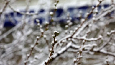 Photo of Утре облачно со повремени локални врнежи од снег