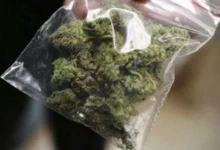 Photo of Откриена марихуана во автомобил на кумановец, поведена истрага