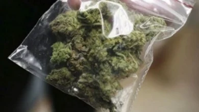 Photo of Откриена марихуана во автомобил на кумановец, поведена истрага