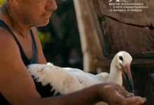 Photo of „Приказната за Силјан“ во фокусот на февруарската програма на Кинотеката