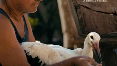 Photo of „Приказната за Силјан“ во фокусот на февруарската програма на Кинотеката