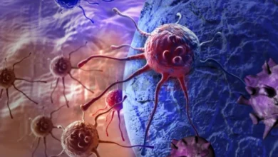 Photo of Стапката на смртност од рак на белите дробови во ЕУ опаѓа – значајна улога игра откажувањето од цигарите