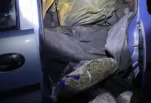 Photo of (ВИДЕО) Пресечен транспорт на 150 килограми марихуана, приведени три лица
