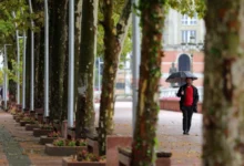 Photo of Променливо облачно со локален дожд, а на планините снег