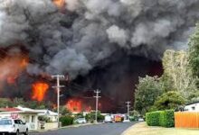 Photo of Катастрофални пожари во Викторија: Илјадници пожарникари се борат со најтешката огнена стихија од „Црното лето“