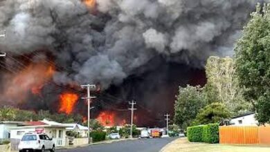 Photo of Катастрофални пожари во Викторија: Илјадници пожарникари се борат со најтешката огнена стихија од „Црното лето“