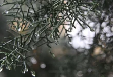 Photo of Утринските температури во цела држава над нула