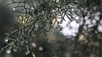 Photo of Утринските температури во цела држава над нула