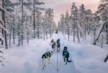 Photo of Финците повторно се најсреќна нација во светот