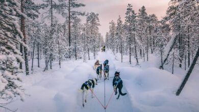 Photo of Финците повторно се најсреќна нација во светот