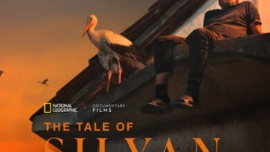 Photo of Македонскиот филм во 2025: година на видливост, зрелост и нова самодоверба