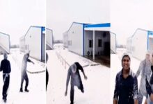 Photo of ВИДЕО: Необична сцена во Прилеп – работници од Индија првпат видоа снег