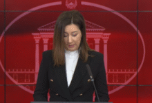 Photo of Гиновска од ДИЖС: УСЈЕ постои со години, а прстот се вперува сега кога имавме аерозагадување само три дена