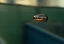 Photo of Залутан куршум пробил прозорец и ѕид во куќа во Сарај: Внук го пронашол зрното на подот