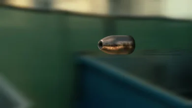 Photo of Залутан куршум пробил прозорец и ѕид во куќа во Сарај: Внук го пронашол зрното на подот