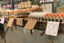 Photo of Се намали цената на јајцата