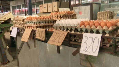 Photo of Се намали цената на јајцата